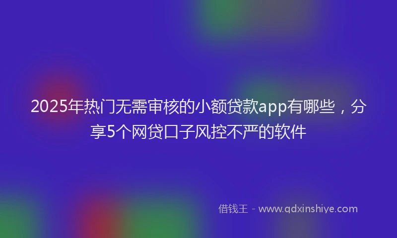 2025年热门无需审核的小额贷款app有哪些，分享5个网贷口子风控不严的软件