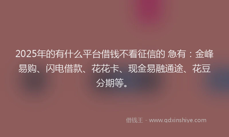 2025年的有什么平台借钱不看征信的 急有：金峰易购、闪电借款、花花卡、现金易融通途、花豆分期等。