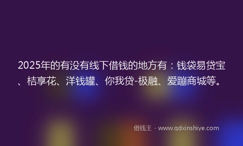 2025年的有没有线下借钱的地方有：钱袋易贷宝、桔享花、洋钱罐、你我贷-极融、爱蹦商城等。