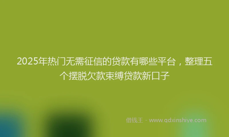 2025年热门无需征信的贷款有哪些平台，整理五个摆脱欠款束缚贷款新口子