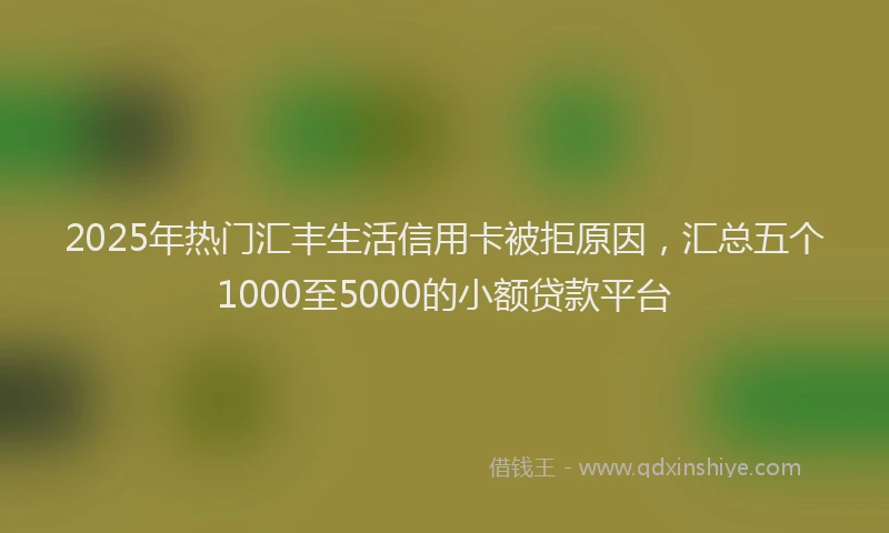 2025年热门汇丰生活信用卡被拒原因，汇总五个1000至5000的小额贷款平台