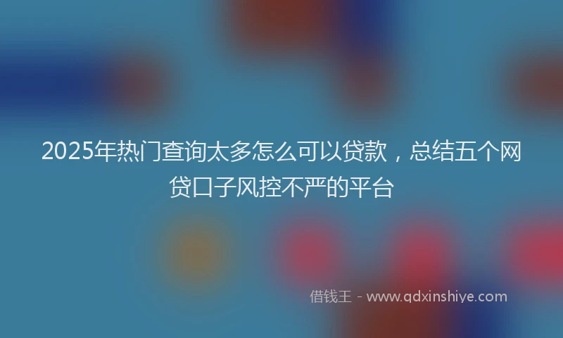 2025年热门查询太多怎么可以贷款，总结五个网贷口子风控不严的平台