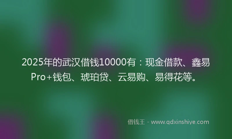 2025年的武汉借钱10000有：现金借款、鑫易Pro+钱包、琥珀贷、云易购、易得花等。