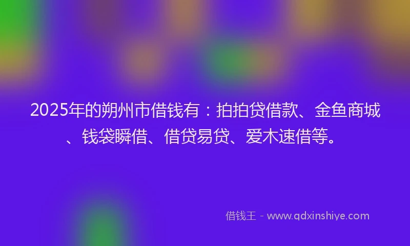 2025年的朔州市借钱有：拍拍贷借款、金鱼商城、钱袋瞬借、借贷易贷、爱木速借等。