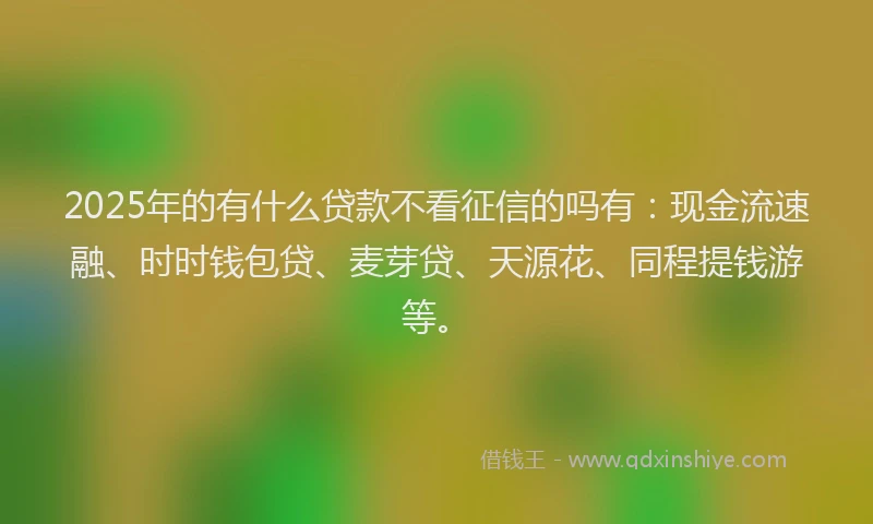 2025年的有什么贷款不看征信的吗有：现金流速融、时时钱包贷、麦芽贷、天源花、同程提钱游等。