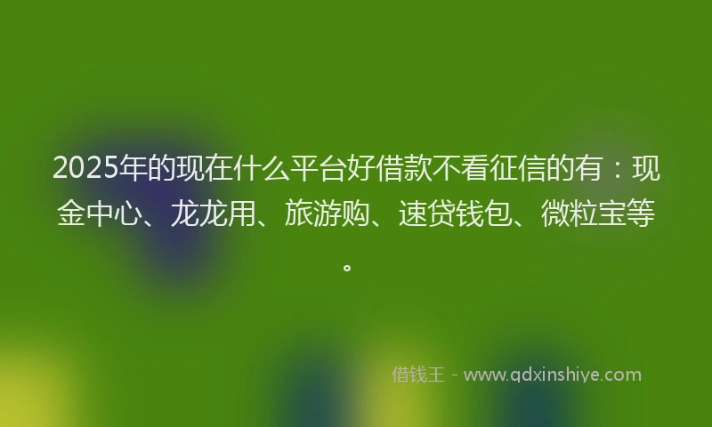 2025年的现在什么平台好借款不看征信的有：现金中心、龙龙用、旅游购、速贷钱包、微粒宝等。