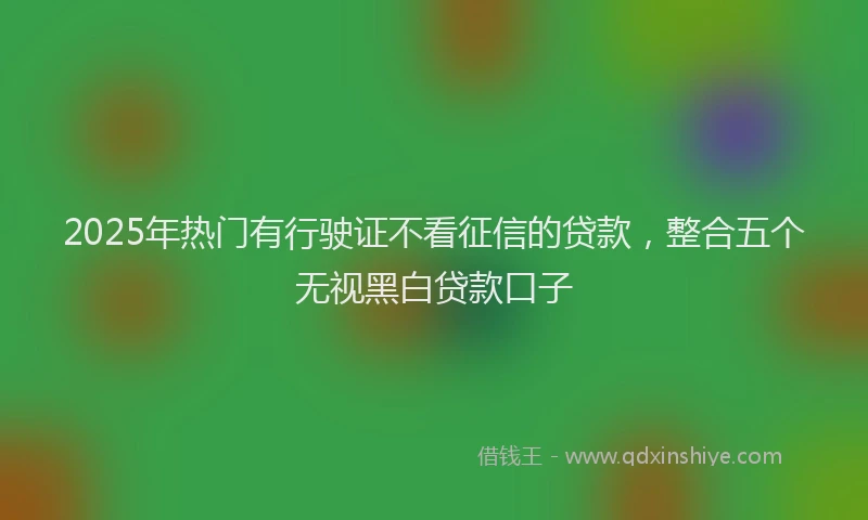 2025年热门有行驶证不看征信的贷款，整合五个无视黑白贷款口子
