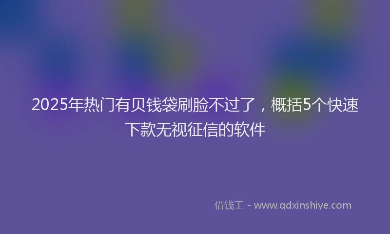 2025年热门有贝钱袋刷脸不过了，概括5个快速下款无视征信的软件