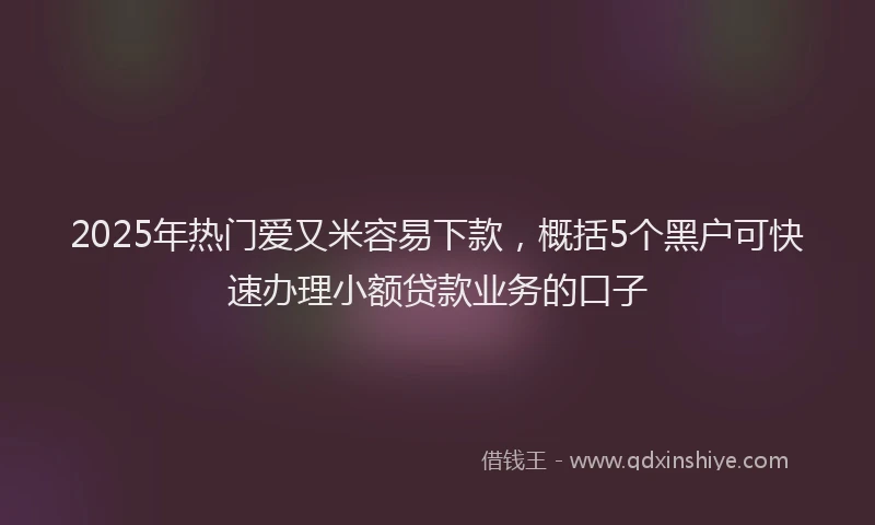 2025年热门爱又米容易下款，概括5个黑户可快速办理小额贷款业务的口子