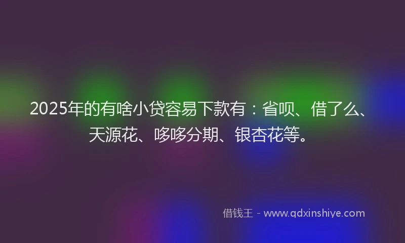 2025年的有啥小贷容易下款有：省呗、借了么、天源花、哆哆分期、银杏花等。