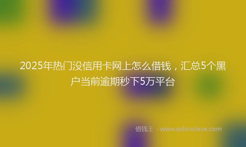 2025年热门没信用卡网上怎么借钱，汇总5个黑户当前逾期秒下5万平台