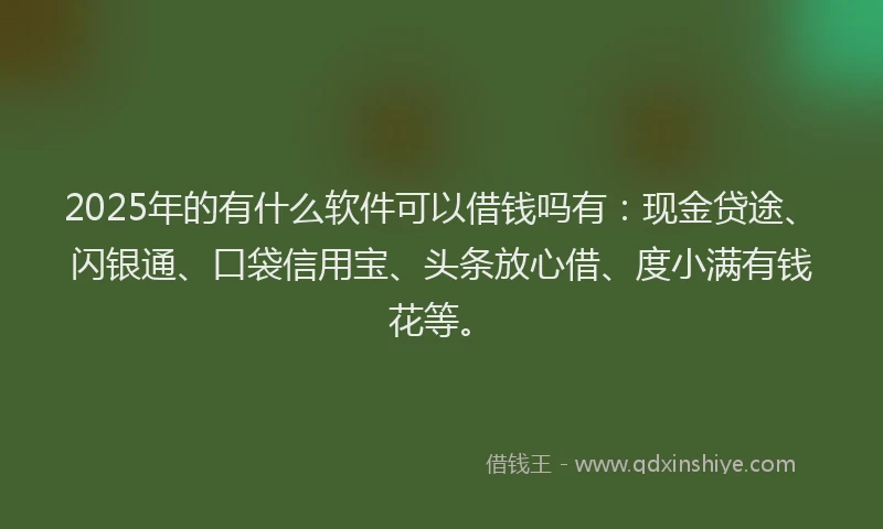 2025年的有什么软件可以借钱吗有：现金贷途、闪银通、口袋信用宝、头条放心借、度小满有钱花等。