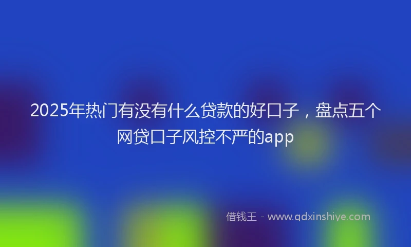 2025年热门有没有什么贷款的好口子，盘点五个网贷口子风控不严的app