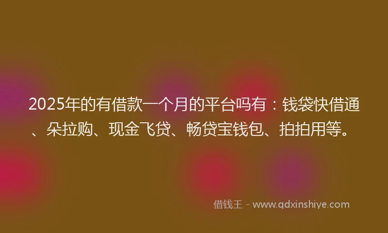2025年的有借款一个月的平台吗有：钱袋快借通、朵拉购、现金飞贷、畅贷宝钱包、拍拍用等。