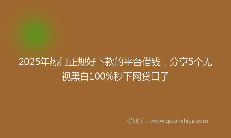 2025年热门正规好下款的平台借钱，分享5个无视黑白100%秒下网贷口子