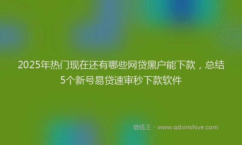 2025年热门现在还有哪些网贷黑户能下款，总结5个新号易贷速审秒下款软件