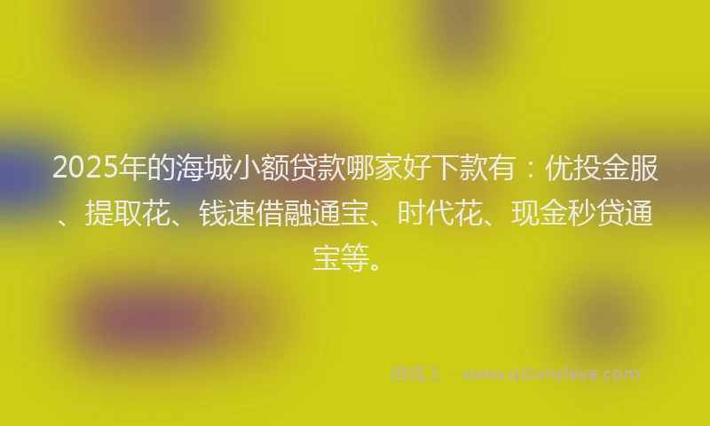 2025年的海城小额贷款哪家好下款有：优投金服、提取花、钱速借融通宝、时代花、现金秒贷通宝等。