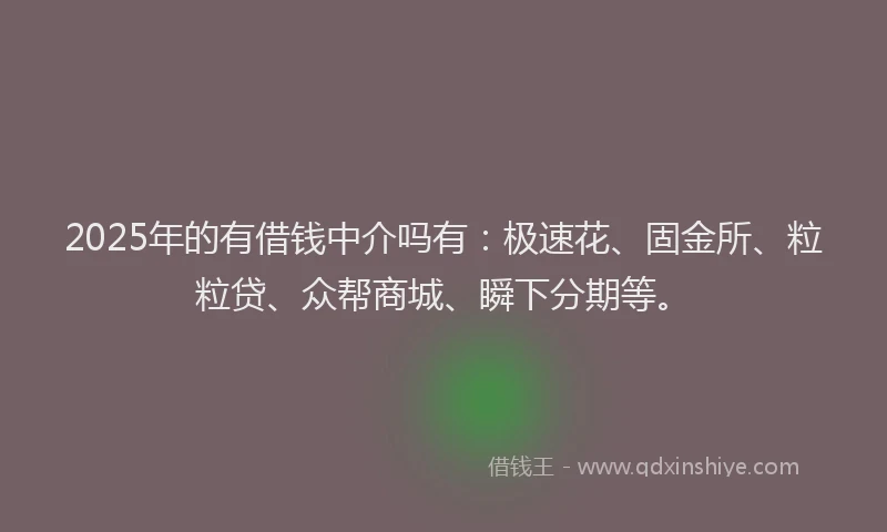 2025年的有借钱中介吗有：极速花、固金所、粒粒贷、众帮商城、瞬下分期等。