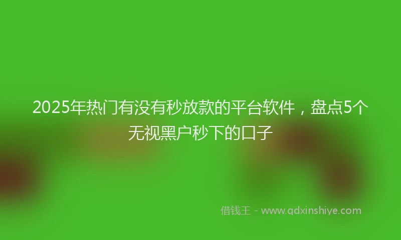 2025年热门有没有秒放款的平台软件，盘点5个无视黑户秒下的口子