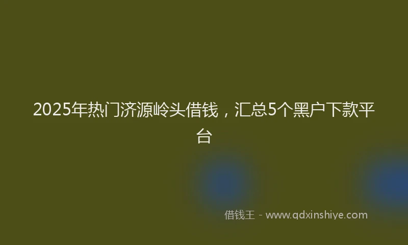 2025年热门济源岭头借钱，汇总5个黑户下款平台