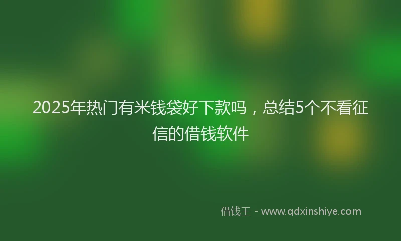 2025年热门有米钱袋好下款吗，总结5个不看征信的借钱软件