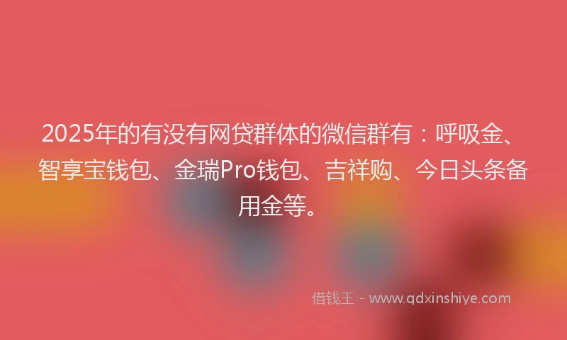 2025年的有没有网贷群体的微信群有：呼吸金、智享宝钱包、金瑞Pro钱包、吉祥购、今日头条备用金等。