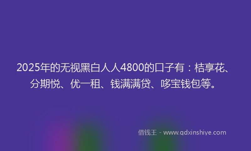 2025年的无视黑白人人4800的口子有：桔享花、分期悦、优一租、钱满满贷、哆宝钱包等。