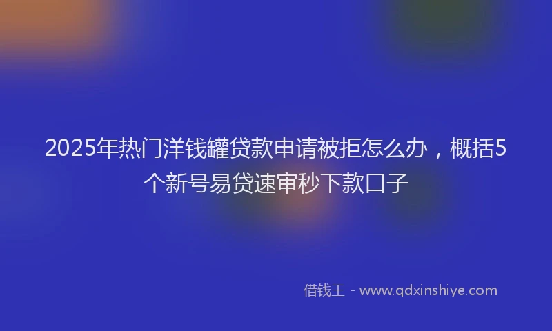 2025年热门洋钱罐贷款申请被拒怎么办，概括5个新号易贷速审秒下款口子