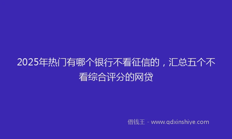 2025年热门有哪个银行不看征信的，汇总五个不看综合评分的网贷