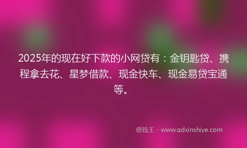 2025年的现在好下款的小网贷有：金钥匙贷、携程拿去花、星梦借款、现金快车、现金易贷宝通等。