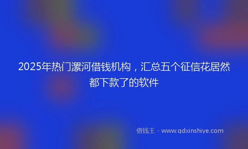 2025年热门漯河借钱机构，汇总五个征信花居然都下款了的软件