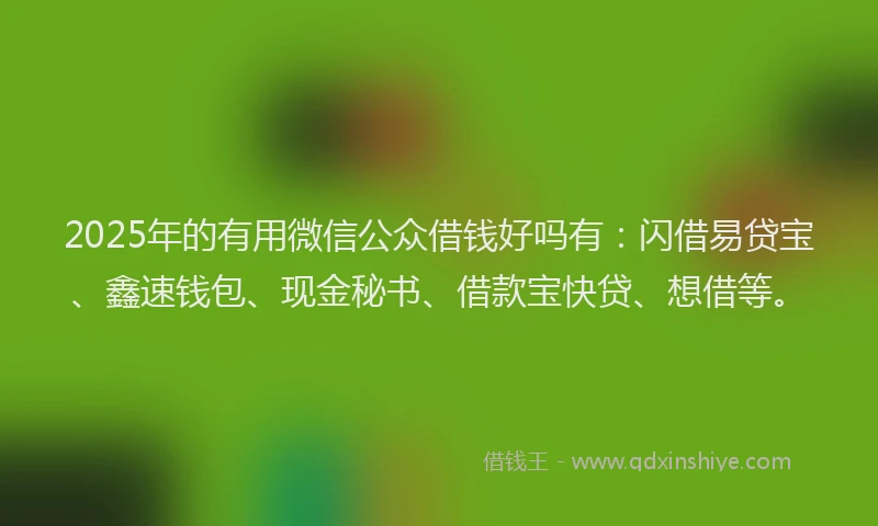 2025年的有用微信公众借钱好吗有：闪借易贷宝、鑫速钱包、现金秘书、借款宝快贷、想借等。