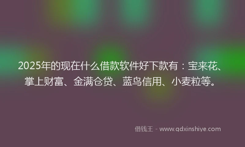 2025年的现在什么借款软件好下款有：宝来花、掌上财富、金满仓贷、蓝鸟信用、小麦粒等。