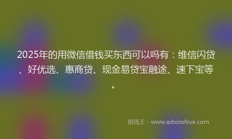 2025年的用微信借钱买东西可以吗有：维信闪贷、好优选、惠商贷、现金易贷宝融途、速下宝等。