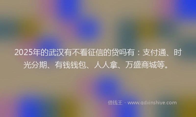 2025年的武汉有不看征信的贷吗有：支付通、时光分期、有钱钱包、人人拿、万盛商城等。