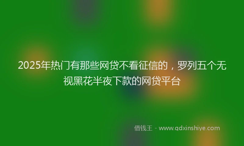 2025年热门有那些网贷不看征信的，罗列五个无视黑花半夜下款的网贷平台