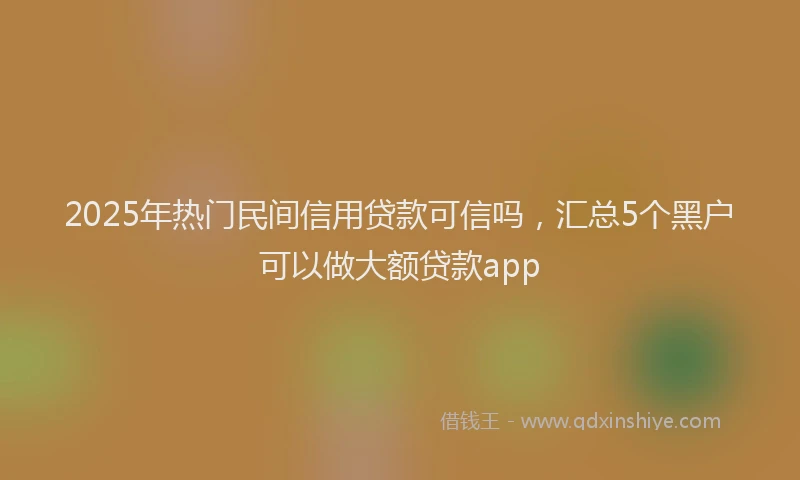2025年热门民间信用贷款可信吗，汇总5个黑户可以做大额贷款app