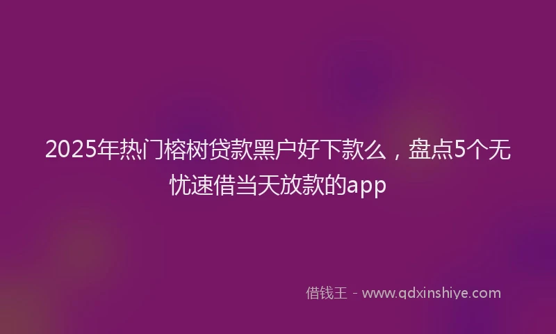 2025年热门榕树贷款黑户好下款么，盘点5个无忧速借当天放款的app
