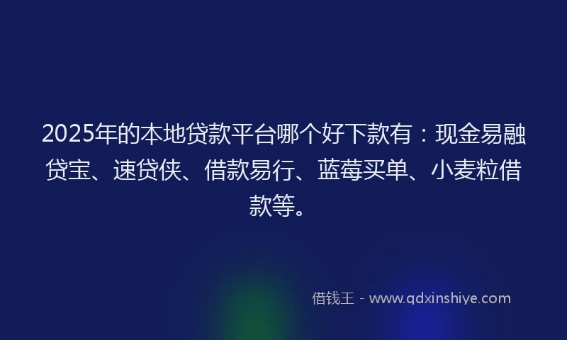 2025年的本地贷款平台哪个好下款有：现金易融贷宝、速贷侠、借款易行、蓝莓买单、小麦粒借款等。