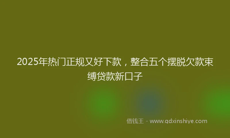 2025年热门正规又好下款，整合五个摆脱欠款束缚贷款新口子