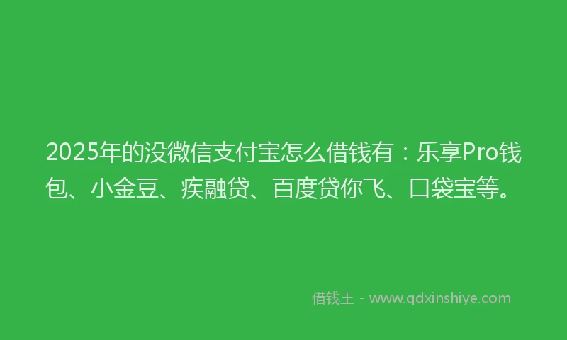 2025年的没微信支付宝怎么借钱有：乐享Pro钱包、小金豆、疾融贷、百度贷你飞、口袋宝等。