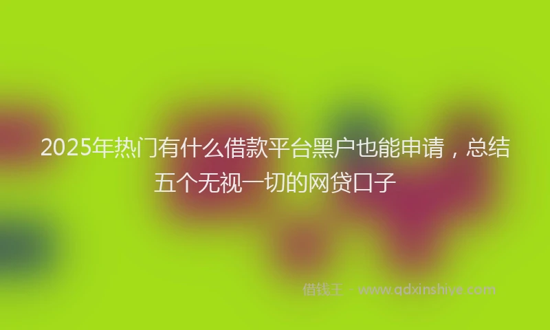 2025年热门有什么借款平台黑户也能申请，总结五个无视一切的网贷口子
