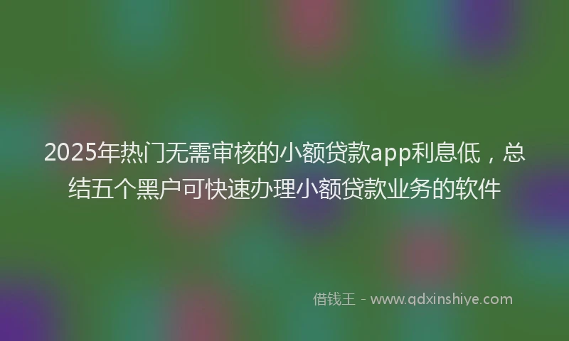 2025年热门无需审核的小额贷款app利息低，总结五个黑户可快速办理小额贷款业务的软件
