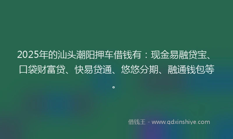 2025年的汕头潮阳押车借钱有：现金易融贷宝、口袋财富贷、快易贷通、悠悠分期、融通钱包等。