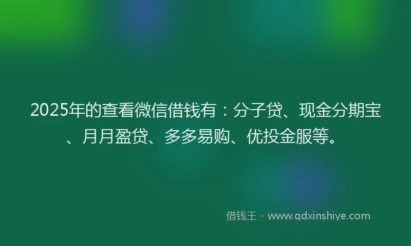 2025年的查看微信借钱有：分子贷、现金分期宝、月月盈贷、多多易购、优投金服等。