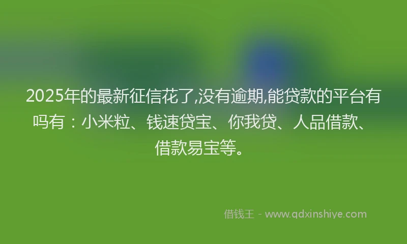 2025年的最新征信花了,没有逾期,能贷款的平台有吗有：小米粒、钱速贷宝、你我贷、人品借款、借款易宝等。