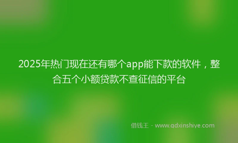 2025年热门现在还有哪个app能下款的软件，整合五个小额贷款不查征信的平台