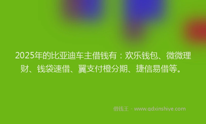 2025年的比亚迪车主借钱有：欢乐钱包、微微理财、钱袋速借、翼支付橙分期、捷信易借等。