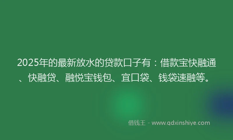 2025年的最新放水的贷款口子有：借款宝快融通、快融贷、融悦宝钱包、宜口袋、钱袋速融等。