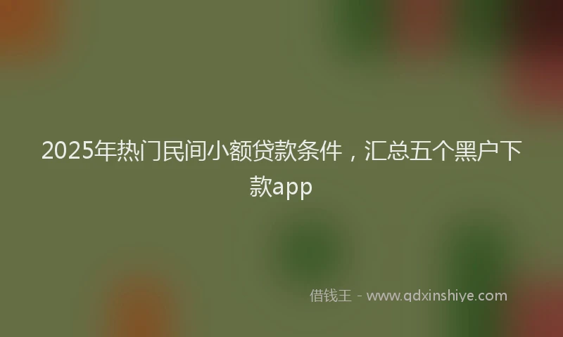 2025年热门民间小额贷款条件，汇总五个黑户下款app